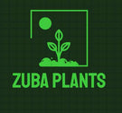 Zuba Plants